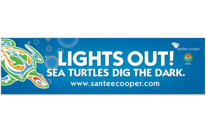 sea turtle